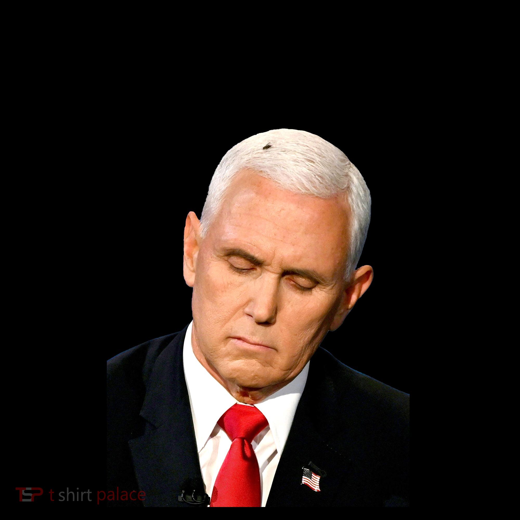 Flies Land On Garbage Mike Pence Debate Fly Coffee Mug