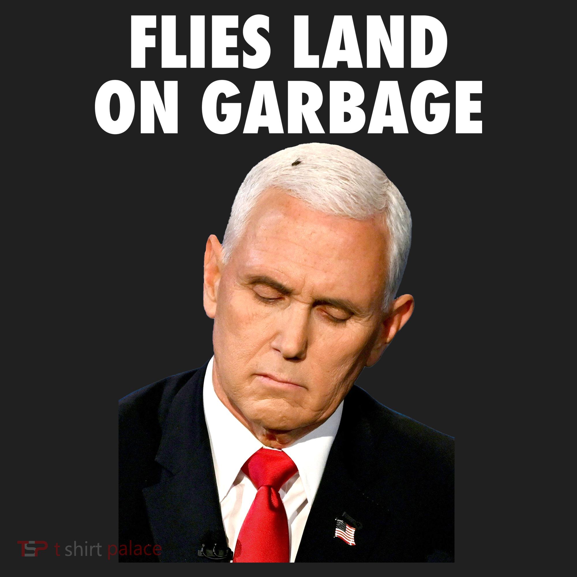 Flies Land On Garbage Mike Pence Debate Fly Hat