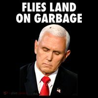Flies Land On Garbage Mike Pence Debate Fly Visor thumb 3