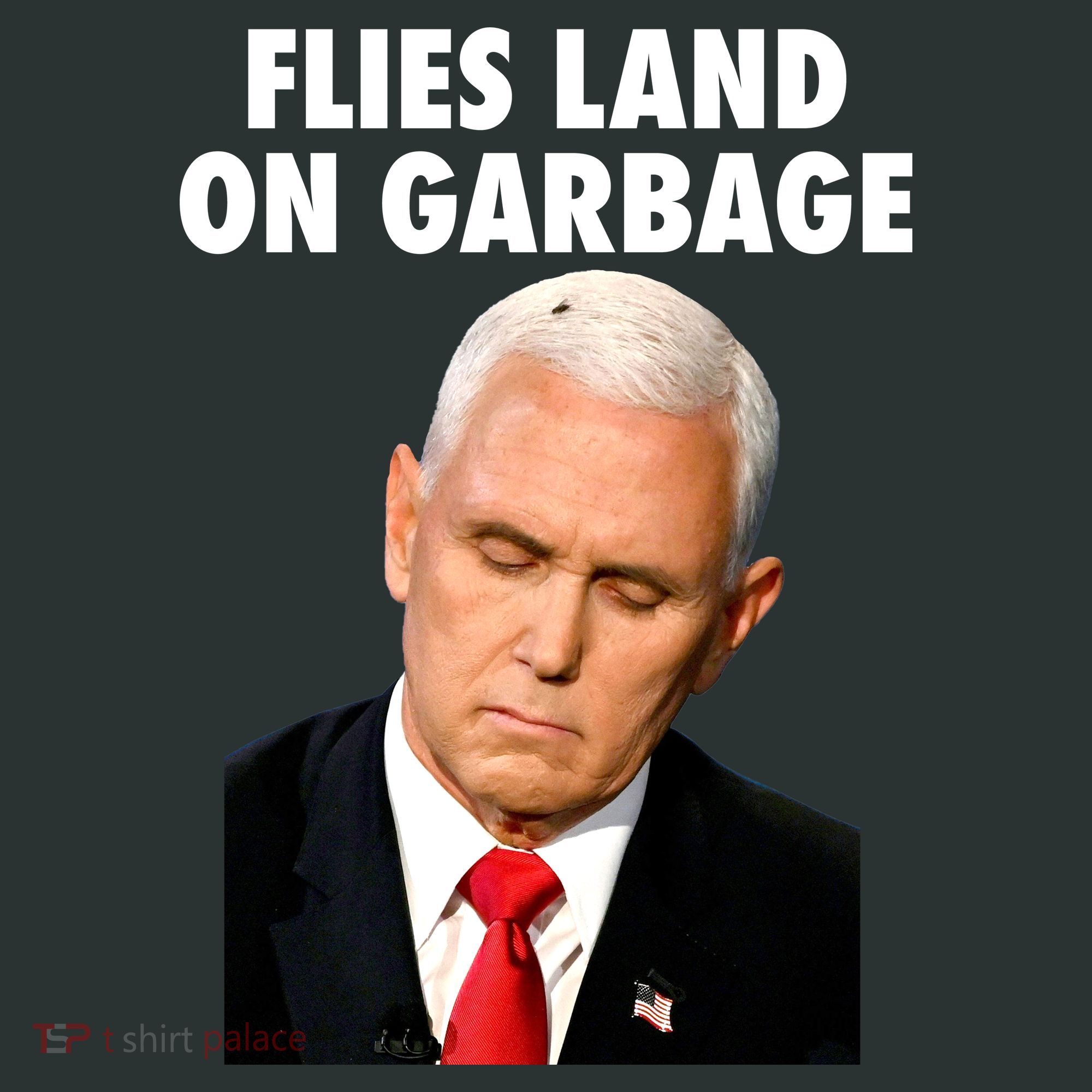 Flies Land On Garbage Mike Pence Debate Fly Backpack