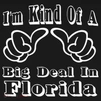 Florida Big Deal Toddler Hoodie thumb 2