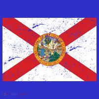 Florida Flag Distressed Vintage T-Shirt thumb 7