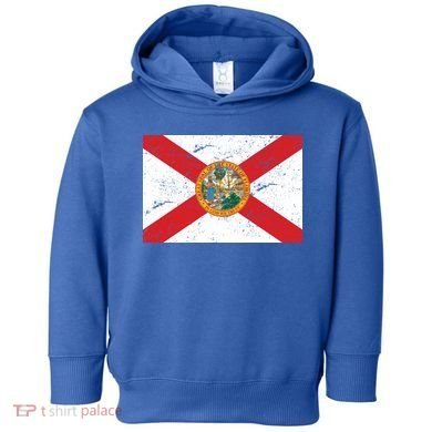 Florida Flag Distressed Vintage Toddler Hoodie