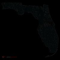Florida Home State Coffee Mug thumb 5