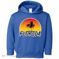 Florida Sunset Palm trees  Toddler Hoodie thumb 0