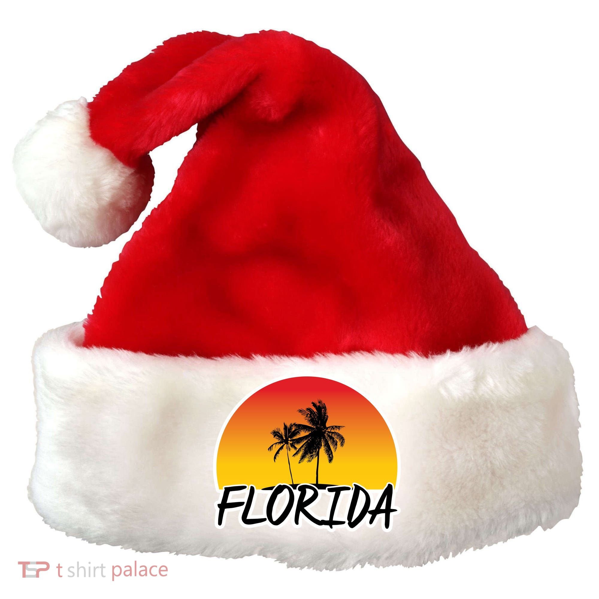 Florida Sunset Palm trees  Santa Hat