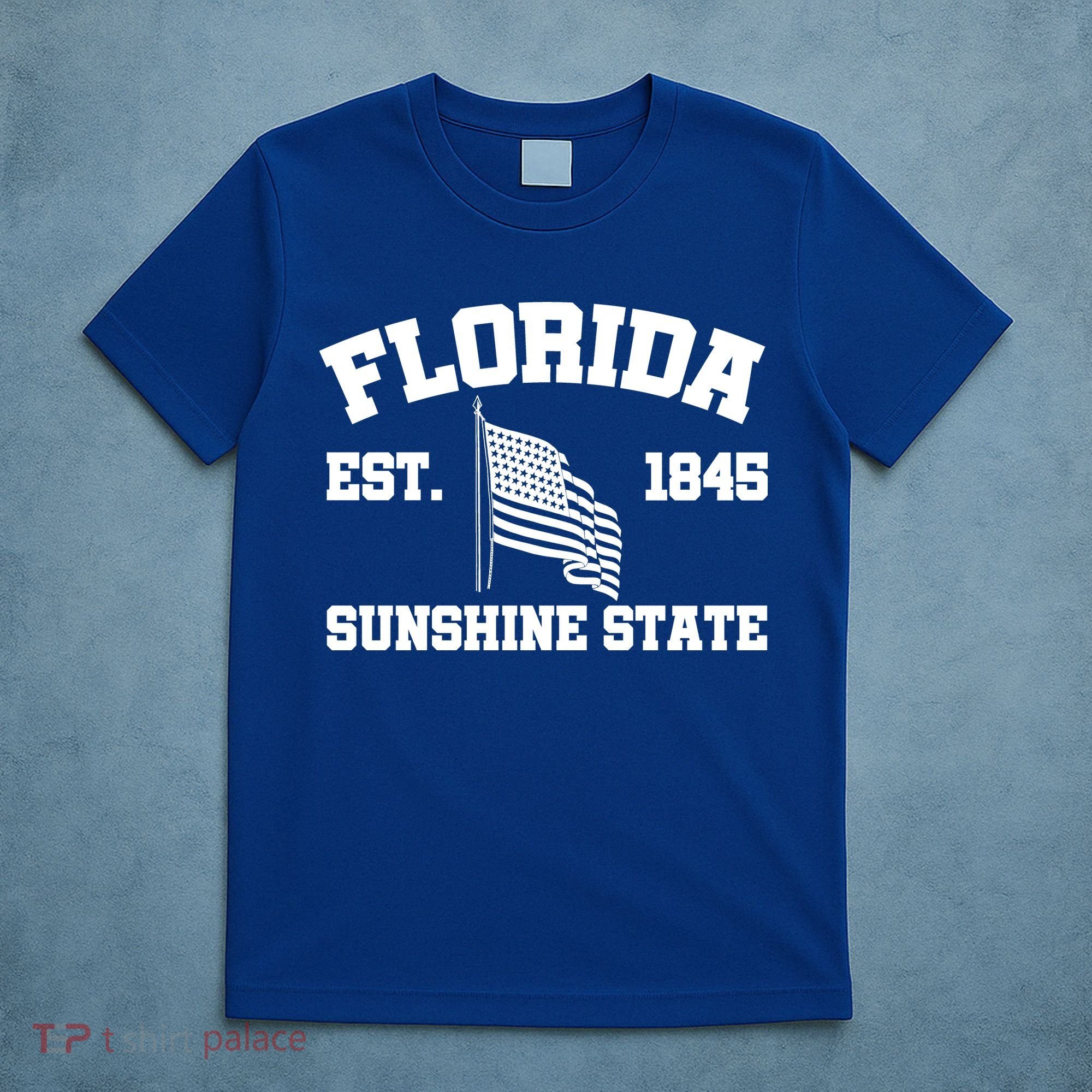 Florida The Sunshine State Est. 1845 T-Shirt