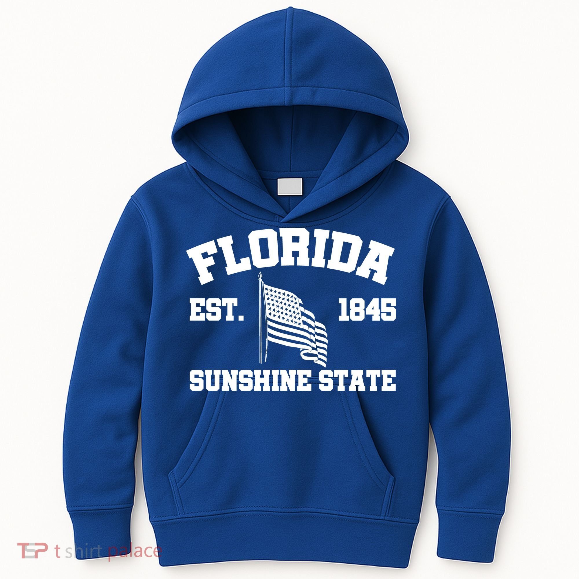Florida The Sunshine State Est. 1845 Kids Hoodie