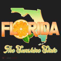 Florida The Sunshine State Orange Logo Tumbler thumb 3