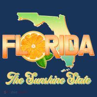 Florida The Sunshine State Orange Logo Button thumb 1