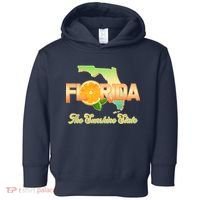 Florida The Sunshine State Orange Logo Toddler Hoodie thumb 0