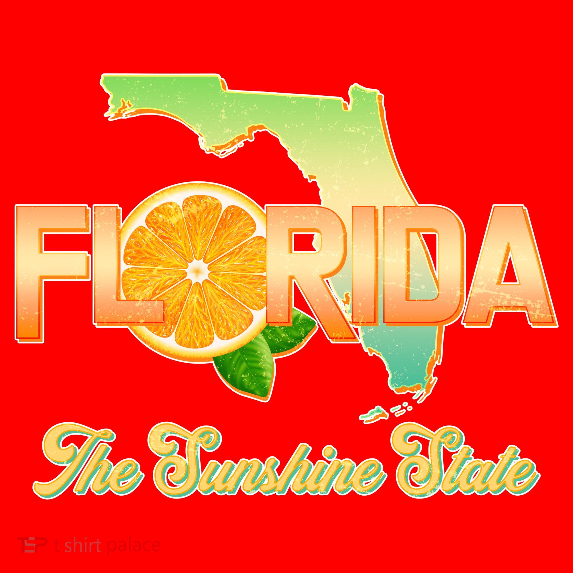 Florida The Sunshine State Orange Logo Santa Hat
