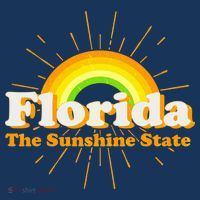 Florida The Sunshine State Rainbow Toddler Hoodie thumb 2