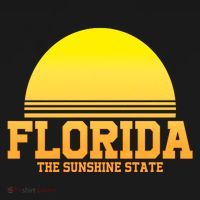 Florida The Sunshine State Retro Sun Toddler T-Shirt thumb 4