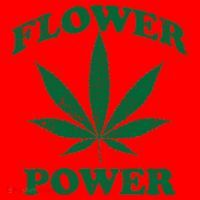 Flower Power Santa Hat thumb 1