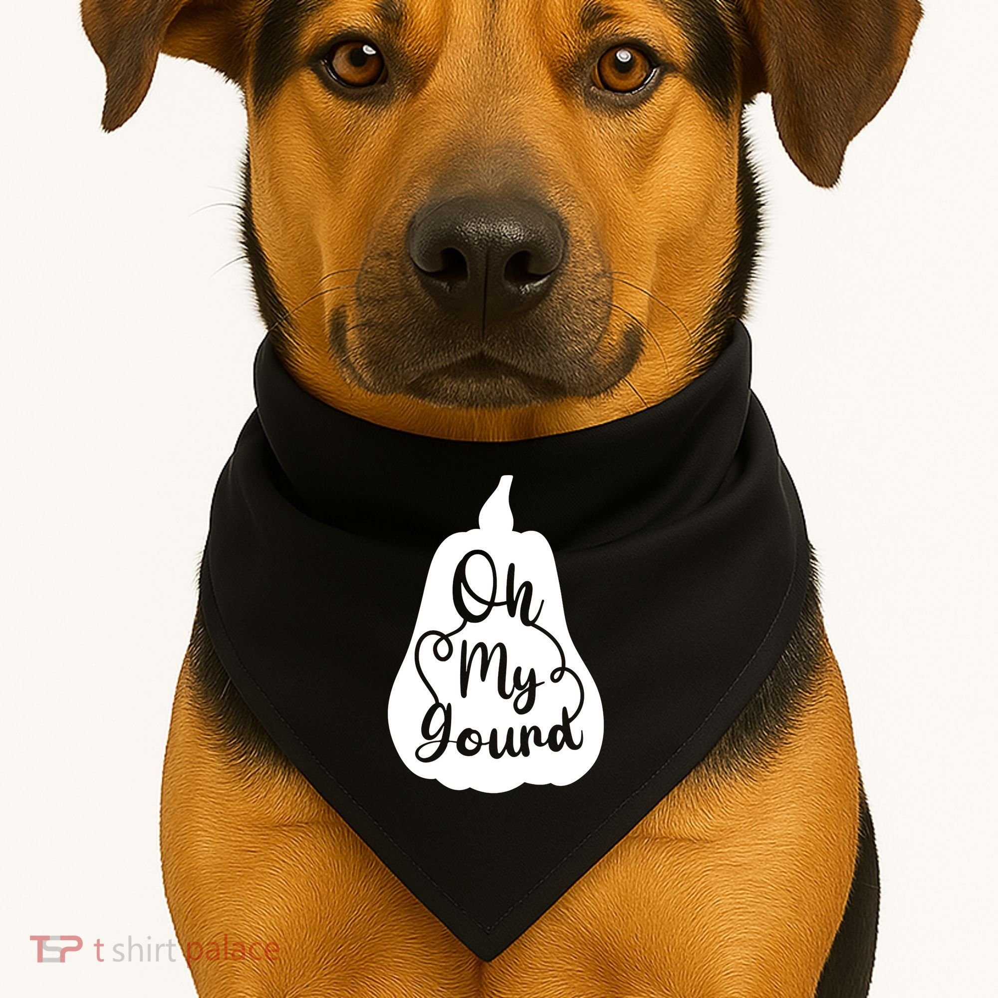 Fall Leaves Pumpkin Lovers Oh My Gourd I Love Fall Season USA-Made Doggie Bandana