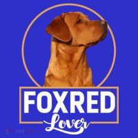 Foxred Lover Redfox Labrador Retriever Fox Red Gift Sweatshirt thumb 3