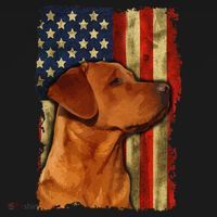 Foxred Labrador Retriever US Flag Fox Red Labrador Dog Lover Women's Hoodie thumb 2