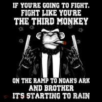 Fight Like The Third Monkey On Noah's Ark Women's Long Sleeve Shirt thumb 2