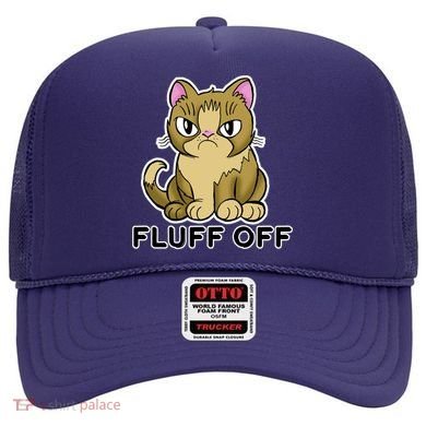 Fluff Off Funny Cat Hat
