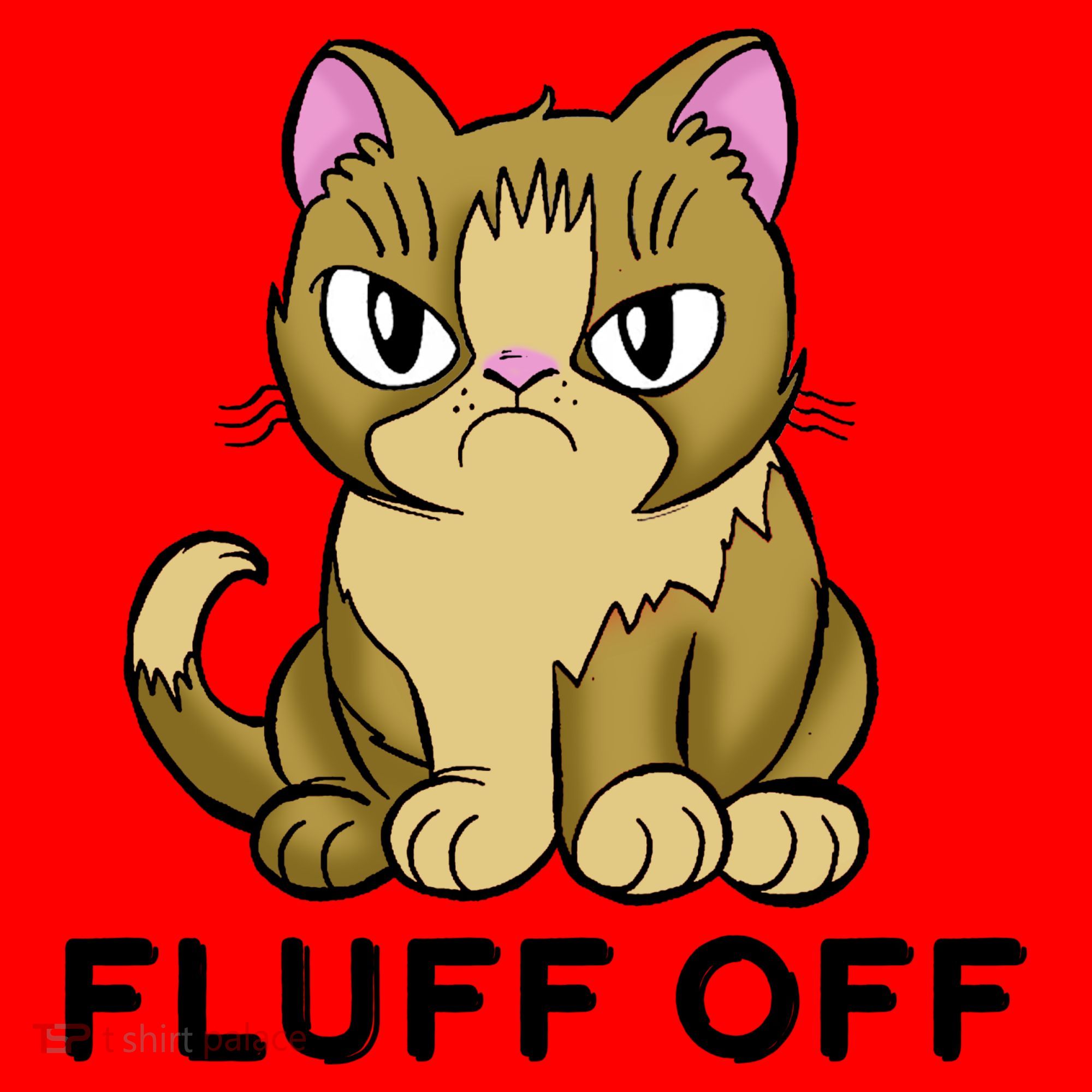 Fluff Off Funny Cat Santa Hat