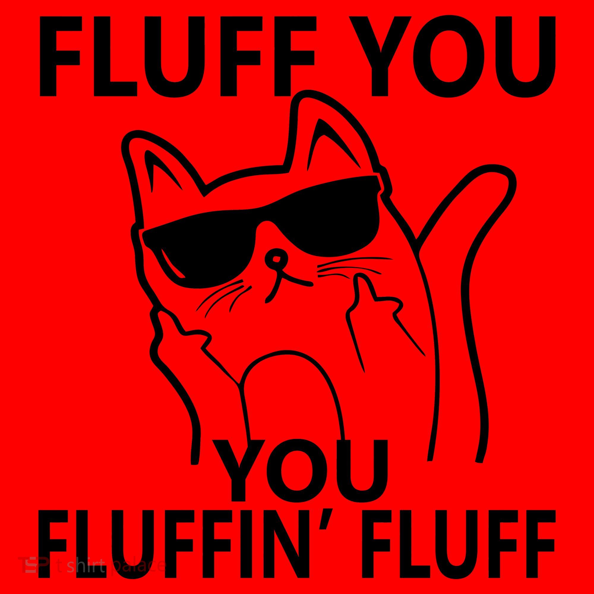 Fluff You You Fluffin' Fluff Funny Cat Santa Hat