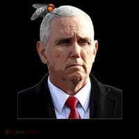 Fly Detector Mike Pence  Coffee Mug thumb 5