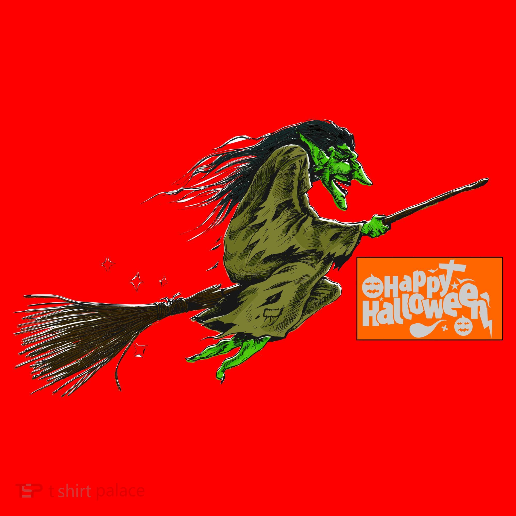 Flying Halloween Witch Santa Hat