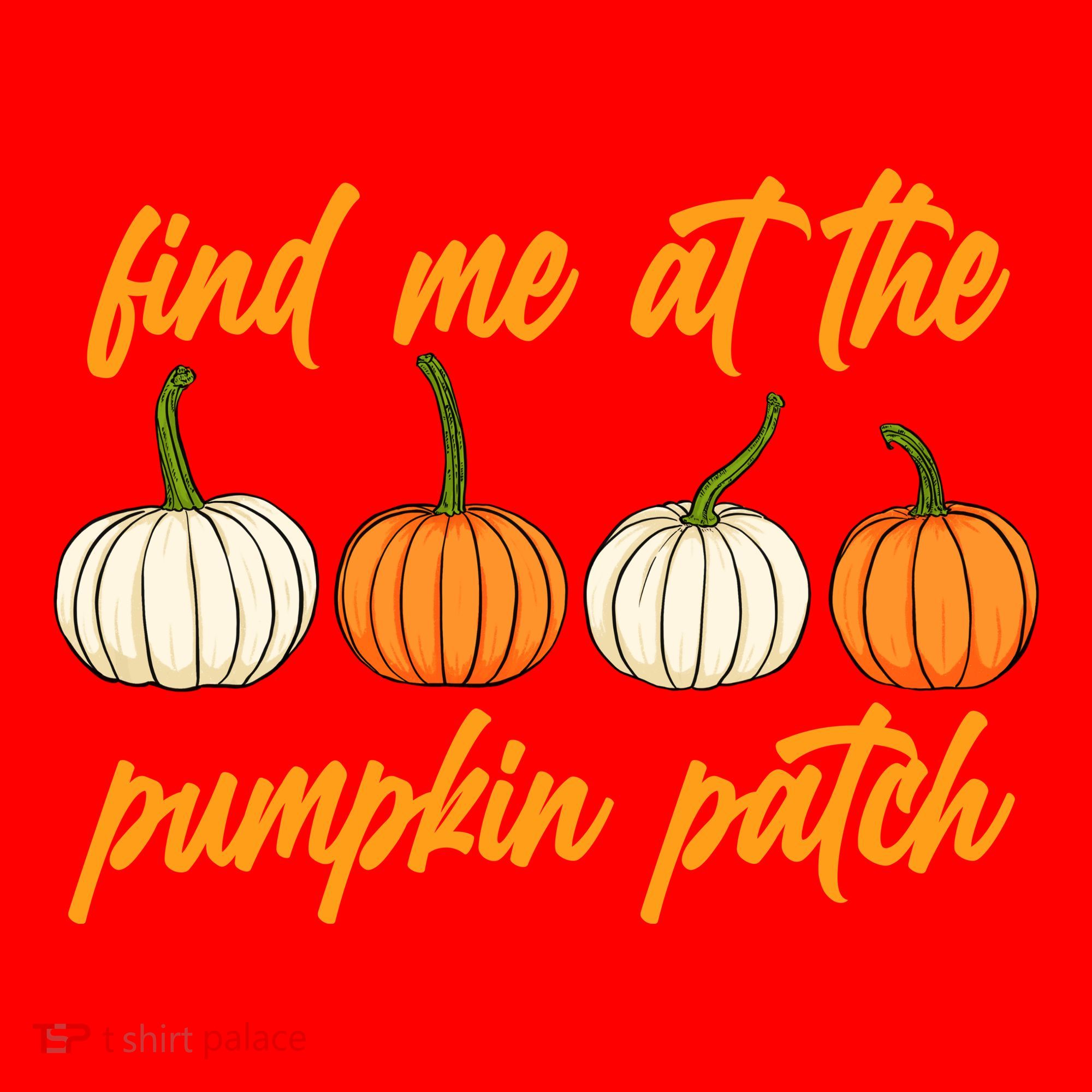 Find Me At The Pumpkin Patch Cute Santa Hat