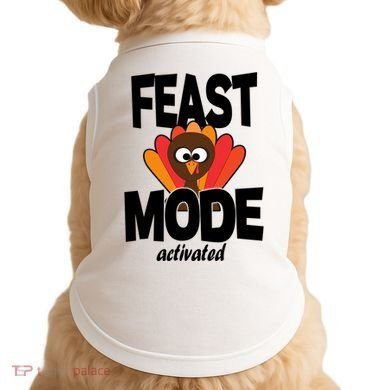 Fast Mode Activated Thanksgiving Doggie Tank