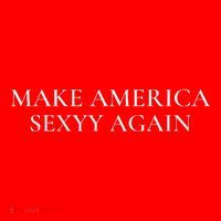 Funny Make America Sexyy Again Toddler Hoodie thumb 2