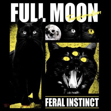 Full Moon Black Cat Transformation Button