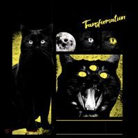 Full Moon Black Cat Transformation Coffee Mug thumb 5