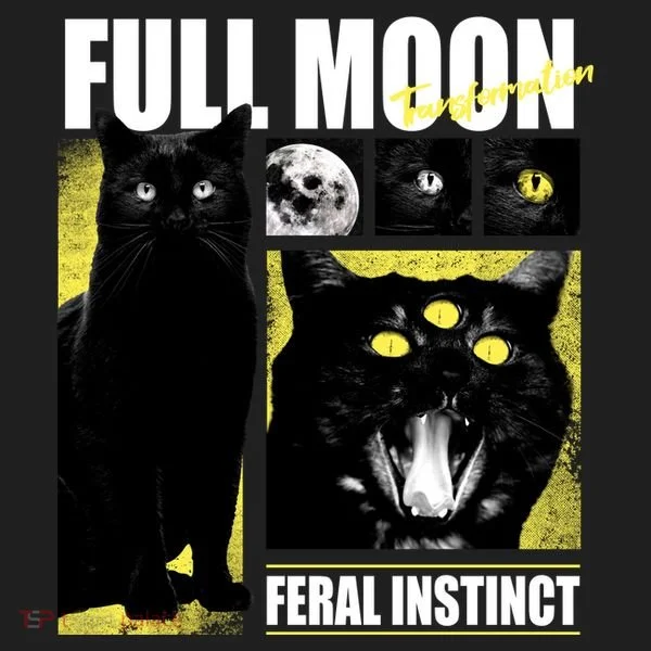Full Moon Black Cat Transformation Tumbler