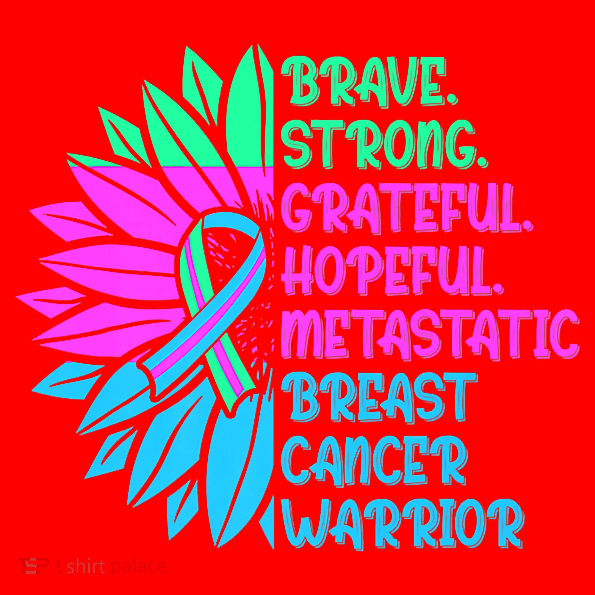 Funny Metastatic Breast Cancer Awareness Care Warrior Santa Hat