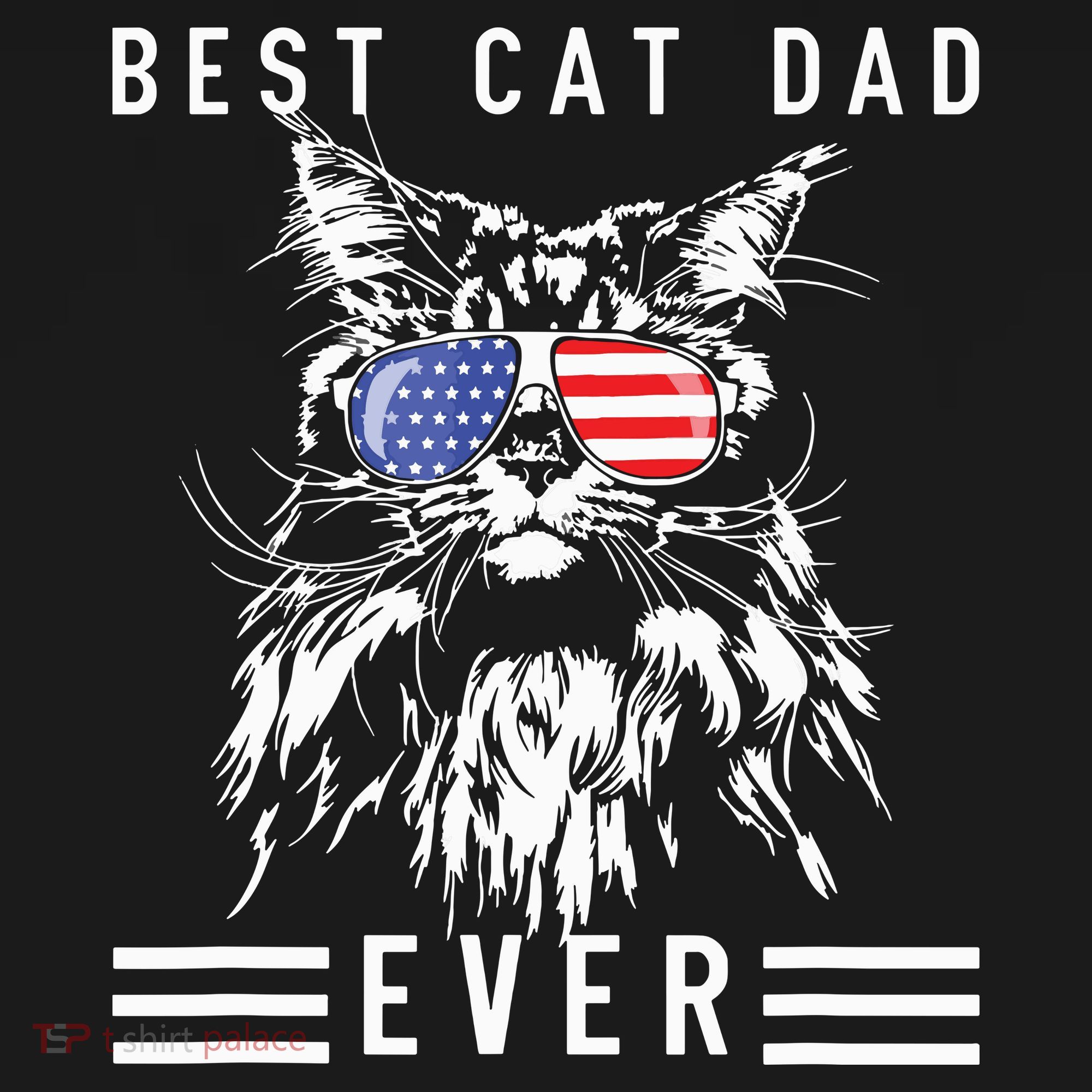 Funny Maine Coon Cat Best Cat Dad Ever Funny Cat Maine Coon Hoodie