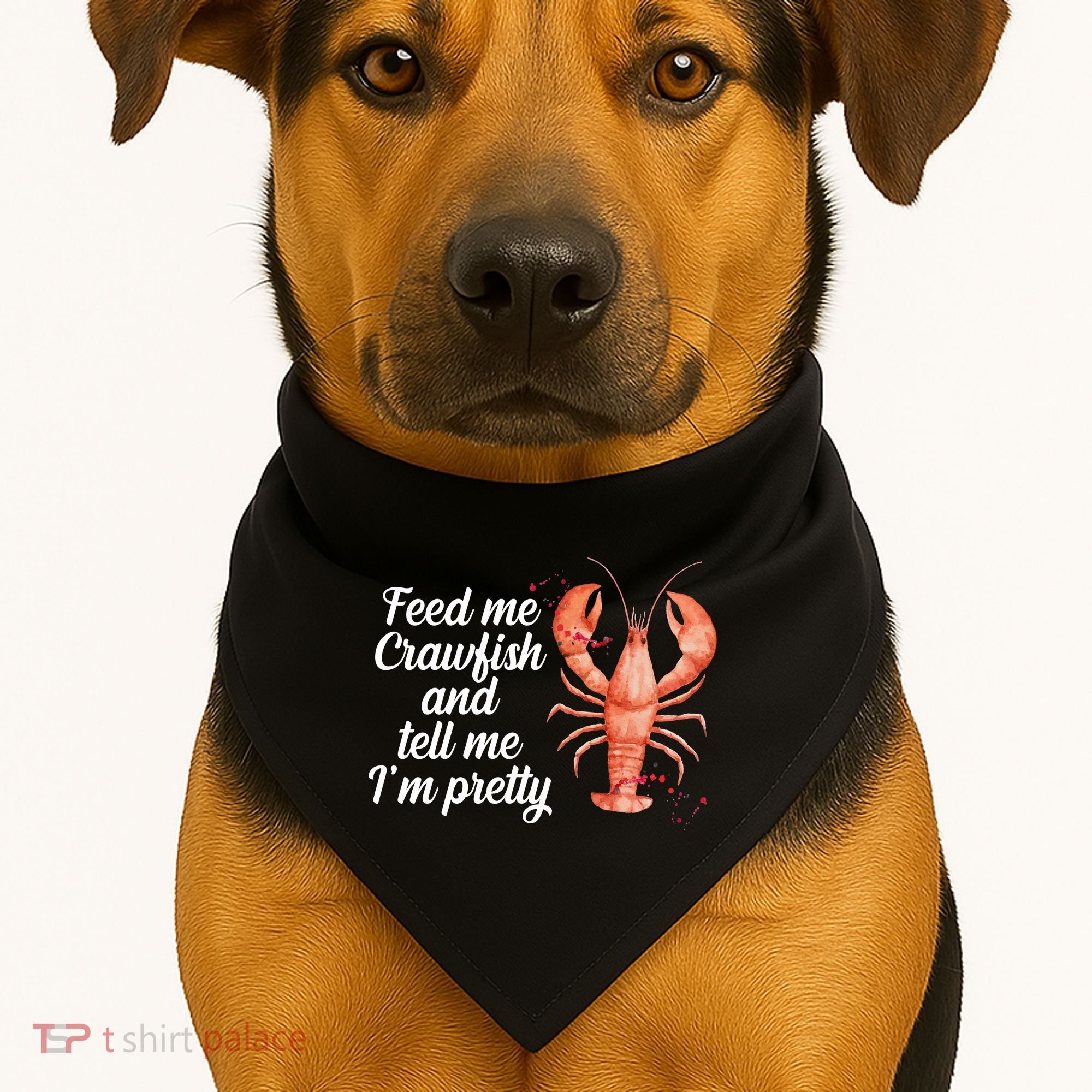 Feed Me Crawfish And Tell Me I'm Pretty USA-Made Doggie Bandana