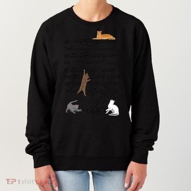 Funny Musical Cat Music Note Lover Women's Sweatshirt