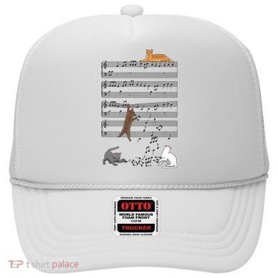 Funny Musical Cat Music Note Lover Hat