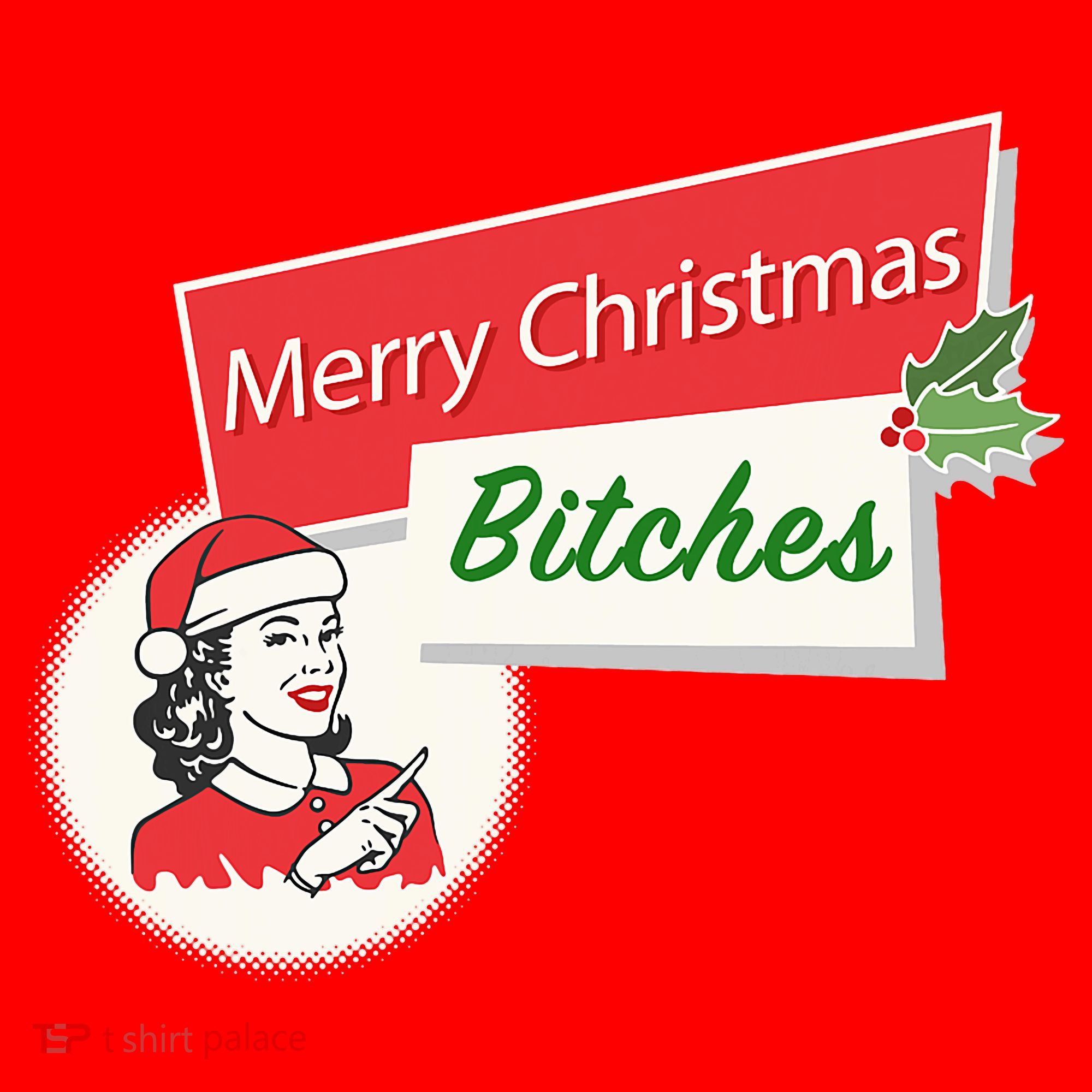 Funny Merry Christmas Bitches Inappropriate Adult Santa Hat