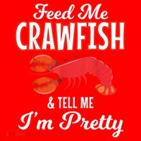 Feed Me Crawfish And Tell Me Im Pretty Funny Mardi Gras Santa Hat thumb 1