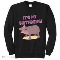 Funny Moo Deng Baby Hippo Cute ItS My Birthday Birthdeng Sweatshirt thumb 0