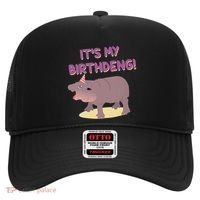 Funny Moo Deng Baby Hippo Cute ItS My Birthday Birthdeng Hat thumb 0