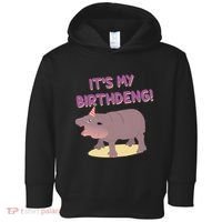 Funny Moo Deng Baby Hippo Cute ItS My Birthday Birthdeng Toddler Hoodie thumb 0