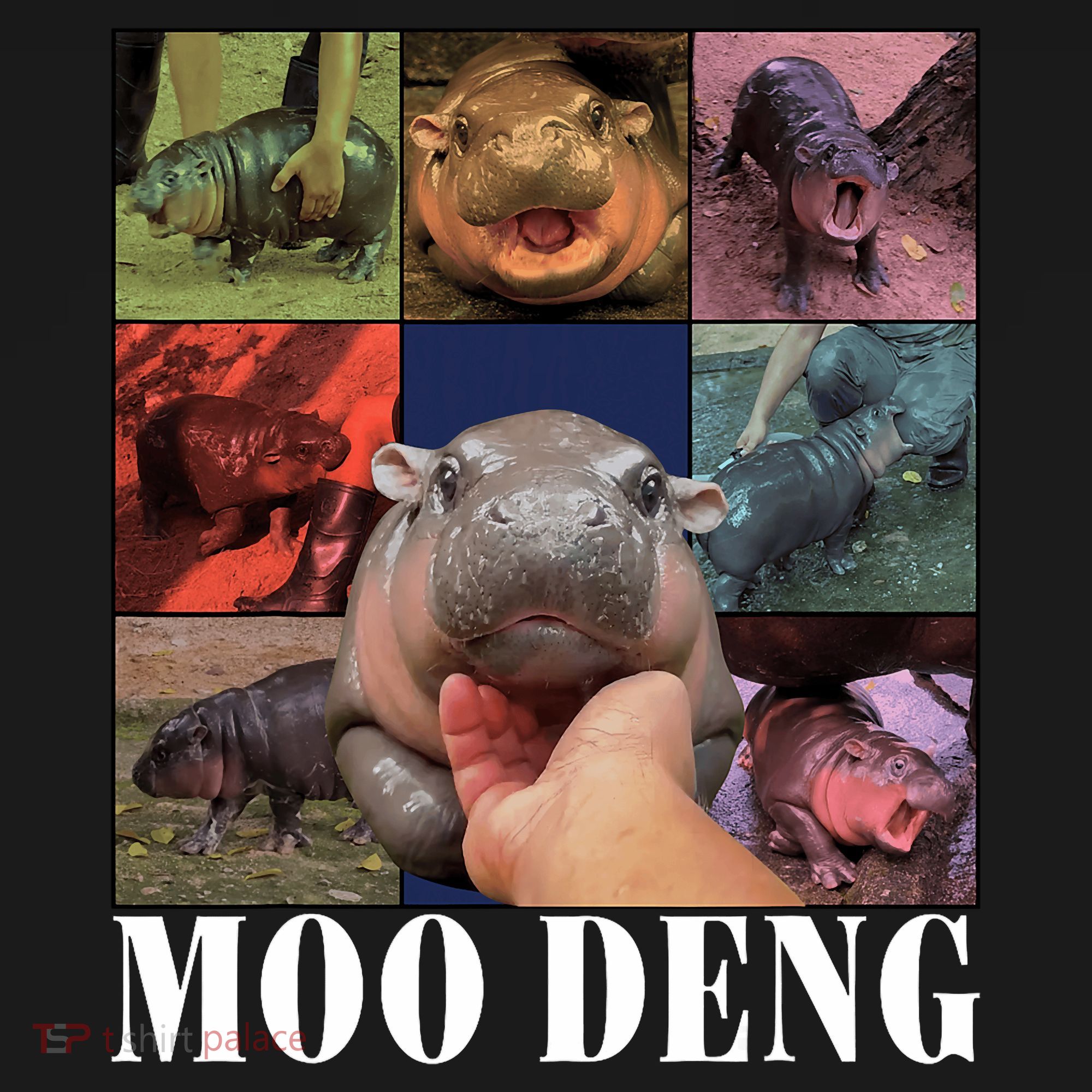 Funny Moo Deng Baby Pygmy Hippo Cute Zoo For Family Coaster