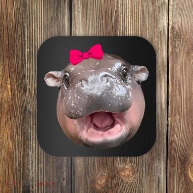 Funny Moo Deng Hippo Cute Baby Pygmy Coquette Coaster