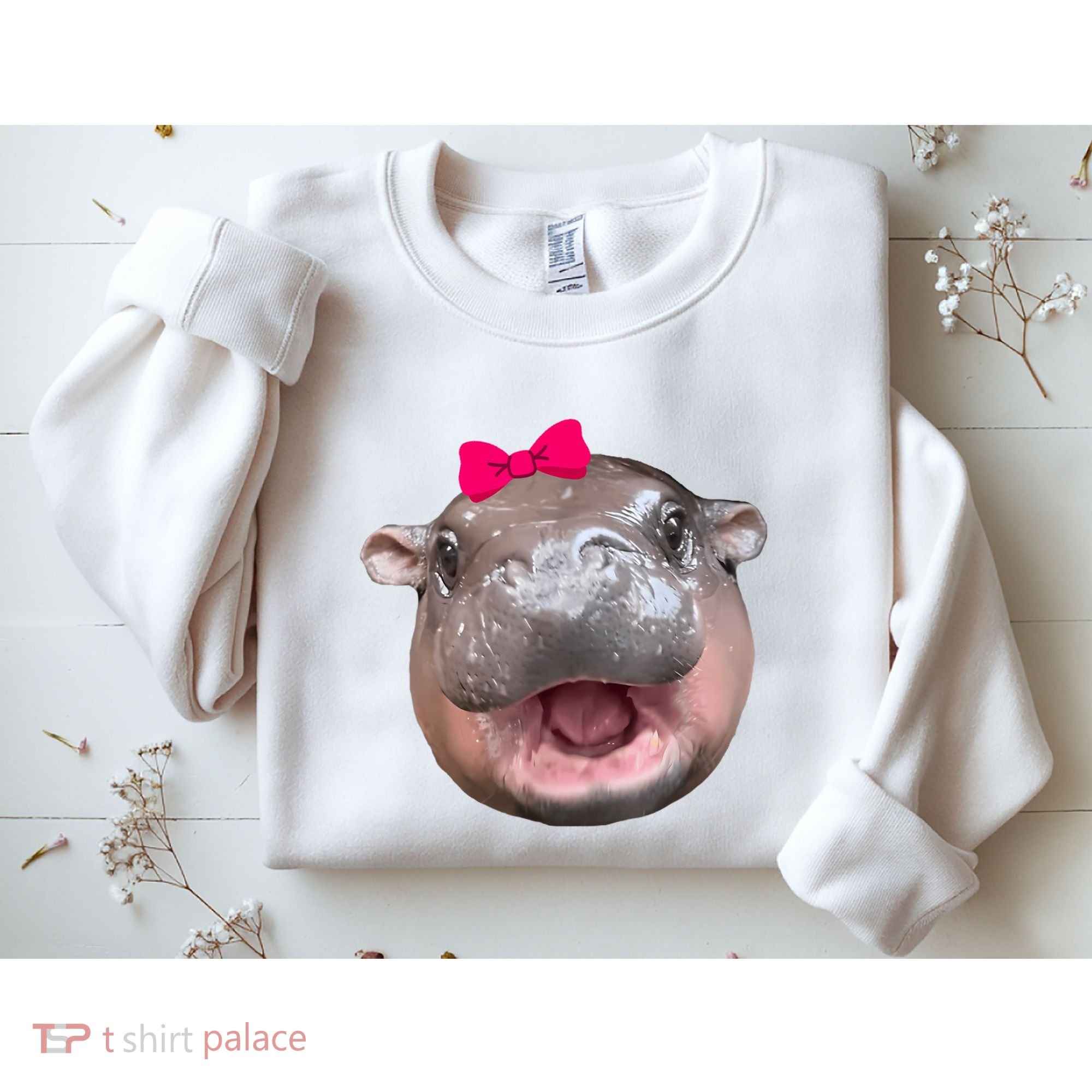 Funny Moo Deng Hippo Cute Baby Pygmy Coquette Sweatshirt