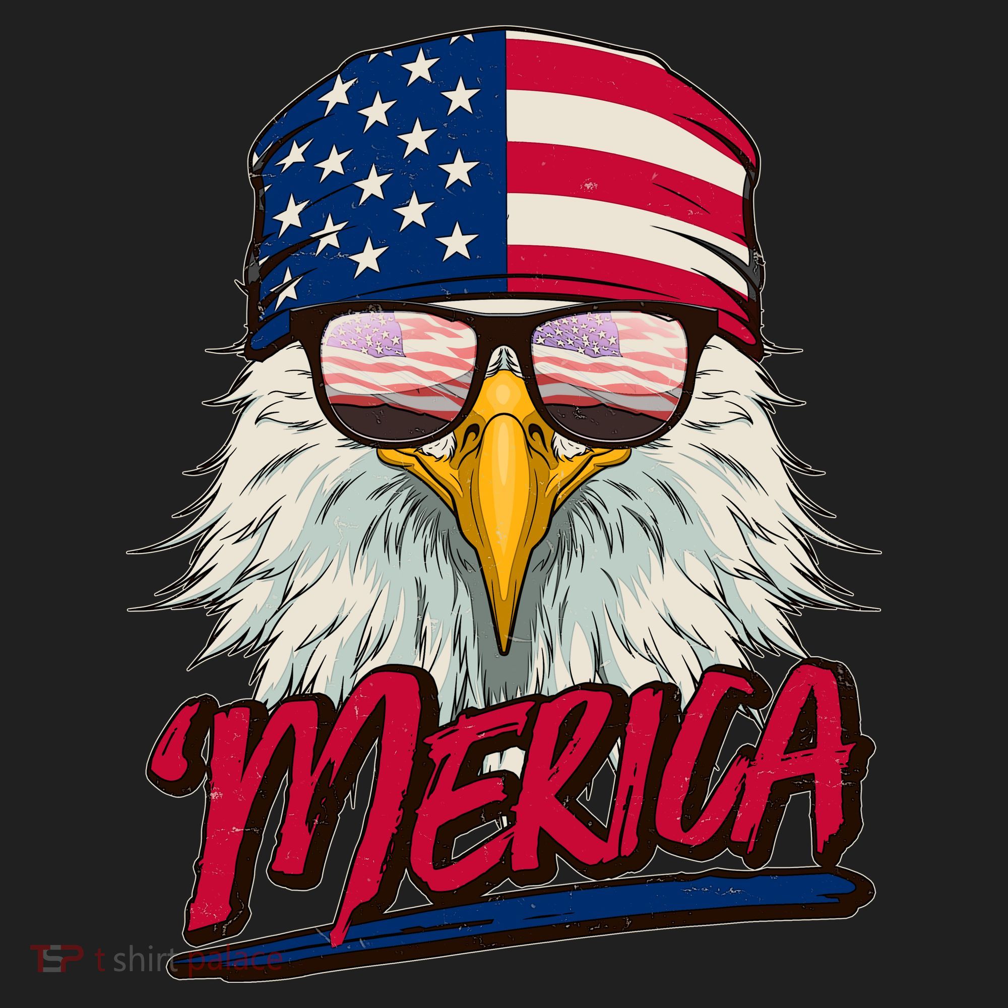 Funny Merica Eagle USA American Flag Beanie