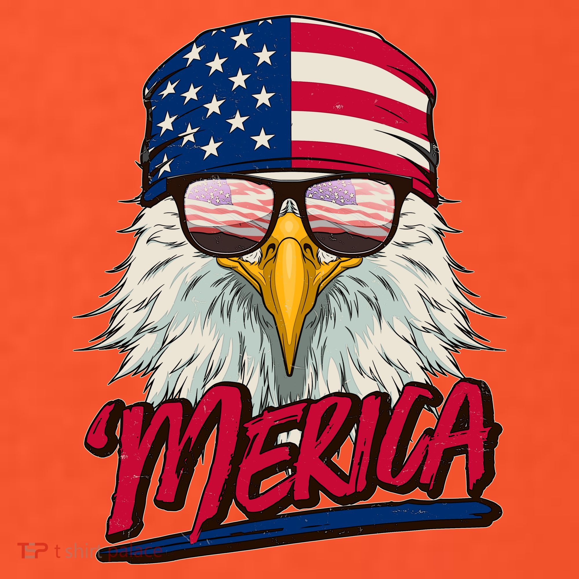 Funny Merica Eagle USA American Flag Women's T-Shirt
