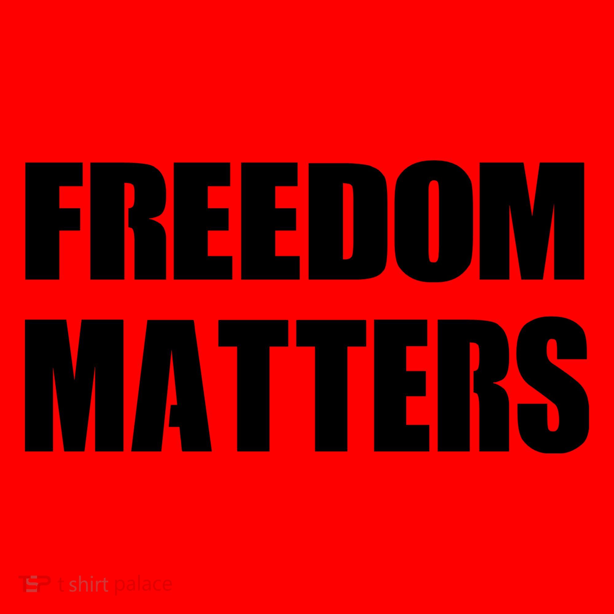 Freedom Matters Santa Hat